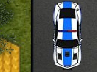 Spil Police car parking 3