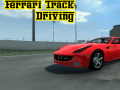 Spil Ferrari Track Driving