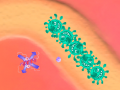 Spil Immunity Defense