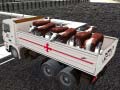 Spil Truck Transport Domestic Animals