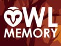 Spil Owl Memory