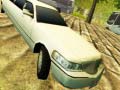 Spil Limousine Driver