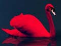 Spil Love Birds Puzzle