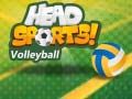 Spil Head Sports Volleyball