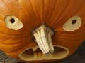 Spil 5 in 1 Picture Puzzle: Halloween