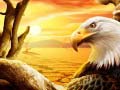 Spil Eagle