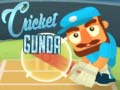 Spil Cricket Gunda