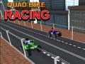 Spil Quad Bike Racing