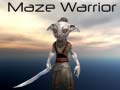 Spil Maze Warrior