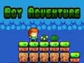 Spil Boy Adventure