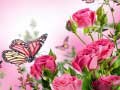 Spil Butterflies Puzzle