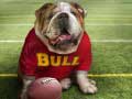 Spil Funny Doggy
