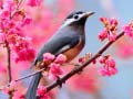 Spil Lovable Birds