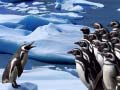 Spil Penguins Slide