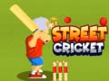 Spil Street Cricket