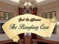 Spil Spot The Differences The Burglary Case