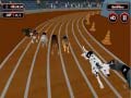 Spil Crazyl Dog Racing Fever