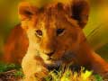Spil Wild Baby Animals Jigsaw