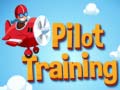 Spil Pilot Training