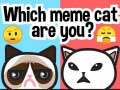 Spil Which Meme Cat Are You?