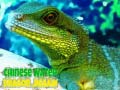 Spil Chinese Water Dragon Jigsaw