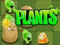 Spil Plants