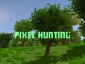 Spil Pixel Hunting