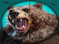 Spil Wild Bear Hunting
