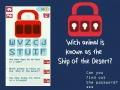 Spil Password Crack