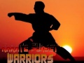 Spil Karate Sunset Warriors