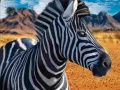 Spil Zebra Hunter