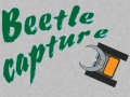 Spil Beetle Capture
