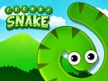 Spil Frenzy Snake