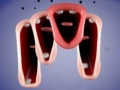 Spil Crazy Lips