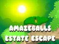 Spil Amazeballs Estate Escape