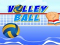 Spil Volley ball