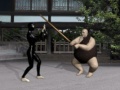 Spil Buyoda Sensei