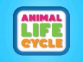 Spil Animal Life Cycle