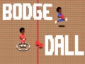 Spil Bodge Dall