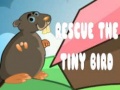Spil Rescue The Tiny Bird