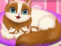 Spil Cute Kitty Pregnant