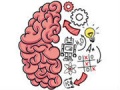 Spil Brain Test