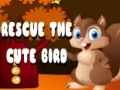 Spil Rescue The Cute Bird