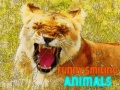 Spil Funny Smiling Animals