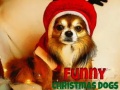 Spil Funny Christmas Dogs