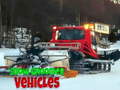 Spil Snow Groomer Vehicles