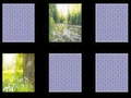 Spil Nature Memory