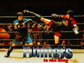 Spil Fighters in the Ring