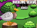 Spil Duckling Rescue Series1