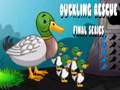 Spil Duckling Rescue Final Episode
